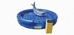 Mechanical Shark Rentals Mechanical Shark Rentals